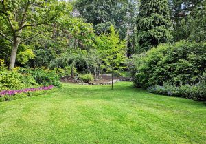 Optimiser l'expérience du jardin à Lussas-et-Nontronneau